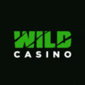 wildcasino